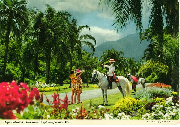john hinde postcards - jamaica