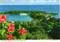 john hinde postcards - Jamaica