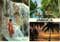 john hinde postcards - Jamaica