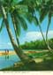 john hinde postcards - Jamaica